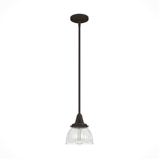 19230_8_cypress_grove_1_light_mini_pendant-onyx_bengal-main