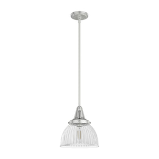 19328_8_cypress_grove_1_light_pendant_10_inch-brushed_nickel-main
