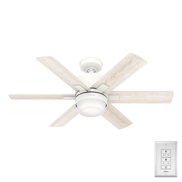 44 Inch Radeon Smart fan with LED Light Ceiling Fans Hunter Matte White - Bleached Alder
