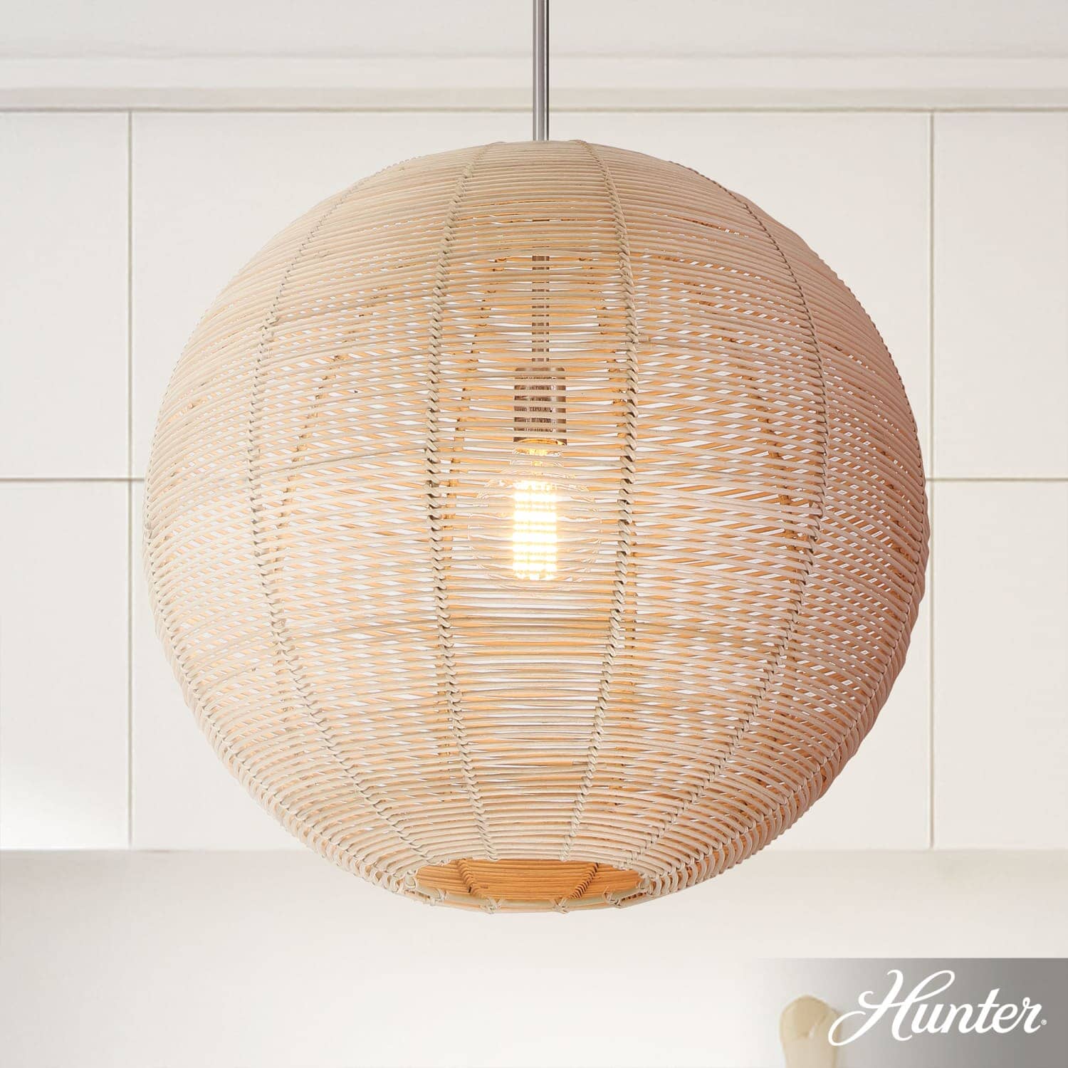 Hunter Berkeley 1 Light Large 22 Inch Pendant Ceiling Light