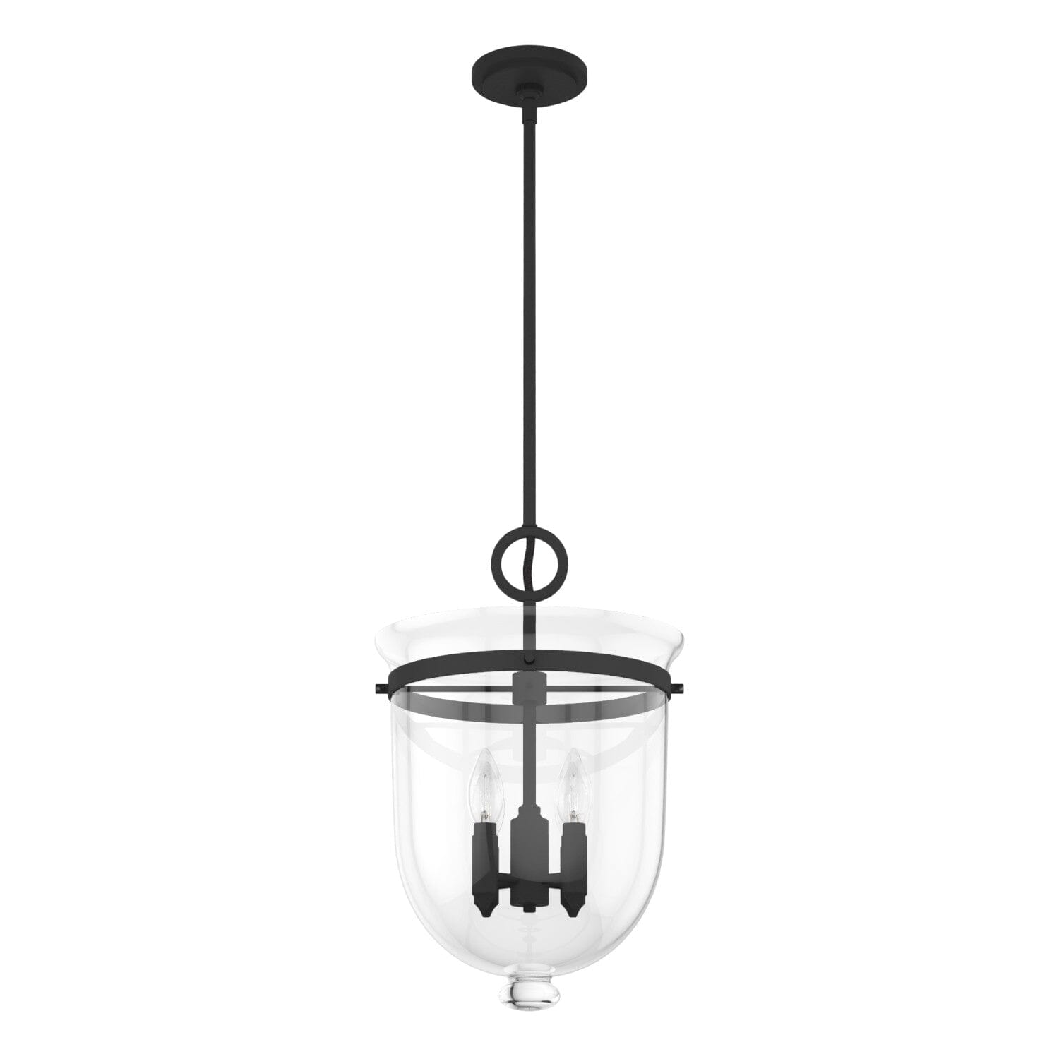 Hunter Sacha 4-Light Natural Iron Modern/Contemporary Clear Glass Urn LED Medium Hanging Pendant Light