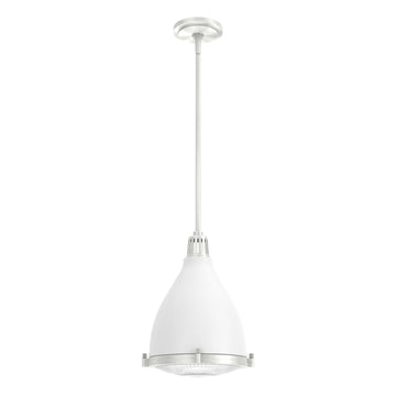 Bluff View 1 Light Pendant Lighting Hunter Fresh White - Brushed Nickel