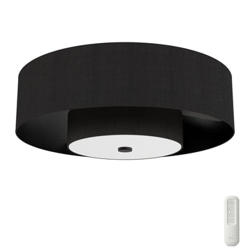 Brookside Jasmine Roth Indoor Fandelier with LED Light 30 inch with remote Ceiling Fans Hunter Matte Black - Matte Black