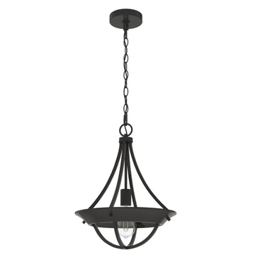 Perch Point 1 Light Pendant Lighting Hunter Noble Bronze - None