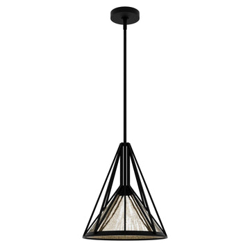 Rafner Medium Pendant Lighting Hunter Natural Black Iron - Mercury Glass