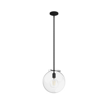 Sacha 1 Light Pendant Lighting Hunter Natural Black Iron - Clear