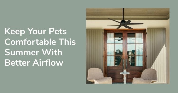 Keep Your Pets Comfortable This Summer With Better Airflow