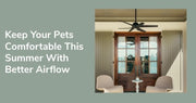 Keep Your Pets Comfortable This Summer With Better Airflow