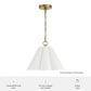 13260_6_isabelle_scalloped_jasmine_roth_medium_14_inch_pendant-luxe_gold-featuresgraphic