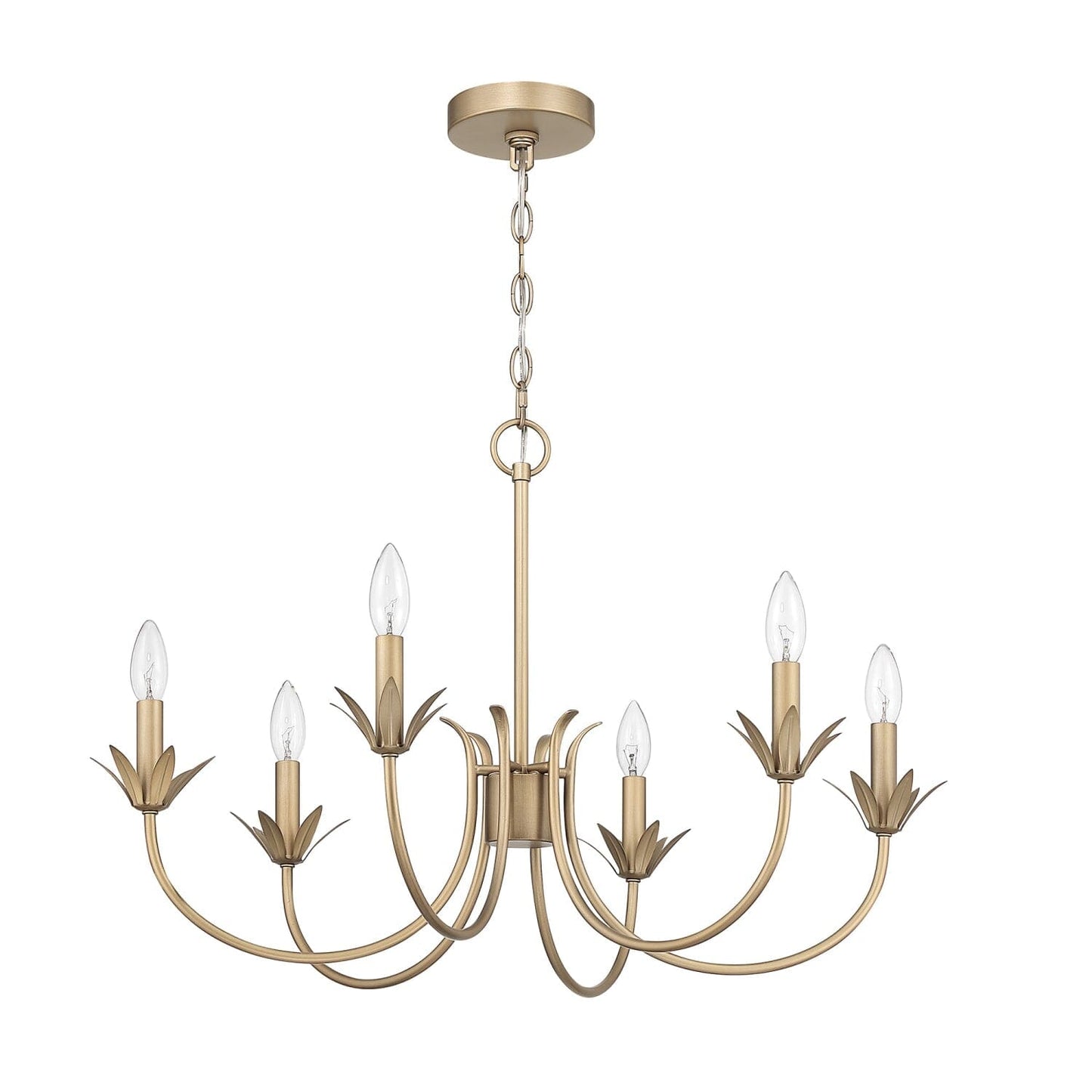 13261_13_junie_bud_jasmine_roth_6_light_medium_28_inch_chandelier-luxe_gold-alternateangle2