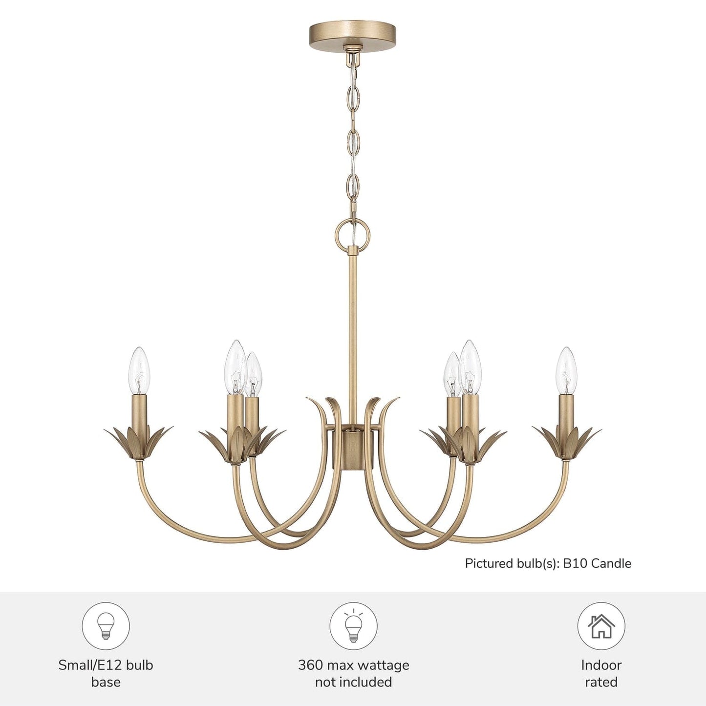 13261_6_junie_bud_jasmine_roth_6_light_medium_28_inch_chandelier-luxe_gold-featuresgraphic