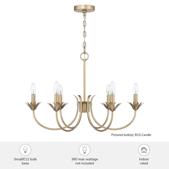 13261_6_junie_bud_jasmine_roth_6_light_medium_28_inch_chandelier-luxe_gold-featuresgraphic