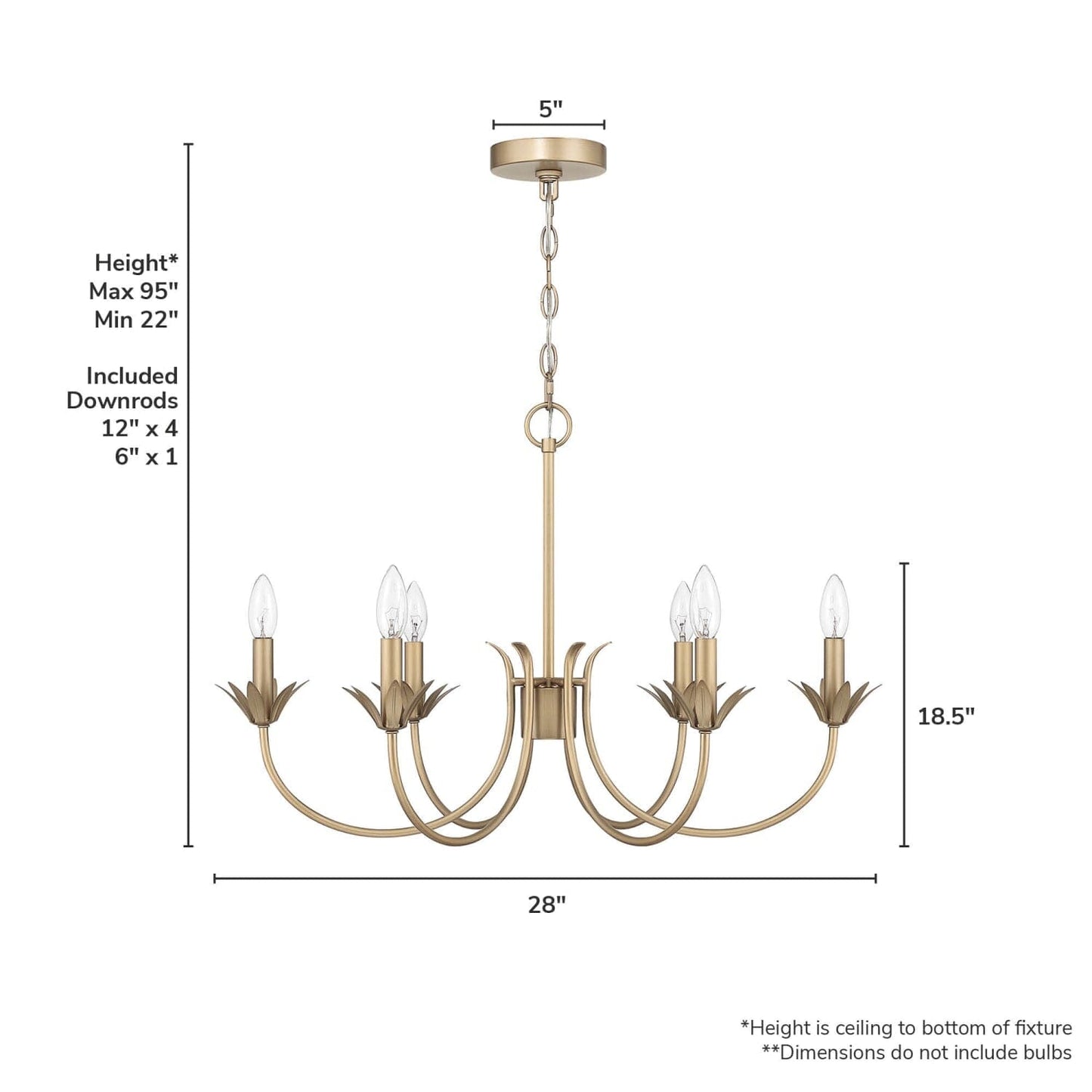 13261_7_junie_bud_jasmine_roth_6_light_medium_28_inch_chandelier-luxe_gold-dimensiongraphic