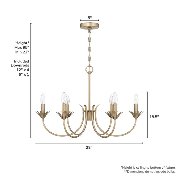 13261_7_junie_bud_jasmine_roth_6_light_medium_28_inch_chandelier-luxe_gold-dimensiongraphic