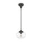 19046_8_saddle_creek_clear_seeded_glass_1_light_mini_pendant-noble_bronze-main