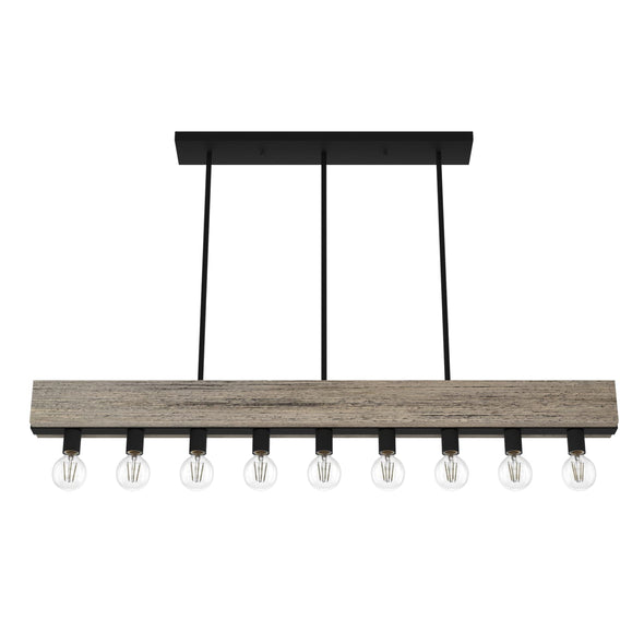 19060_9_donelson_9_light_linear_chandelier-rustic_iron-alternateangle1