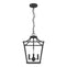 19065_8_laurel_ridge_4_light_lantern_pendant_12_inch-natural_black_iron-main