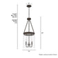 19153_4_devon_park_3_light_pendant-onyx_bengal-dimensiongraphic