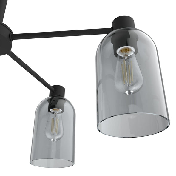 19198_12_lochemeade_smoked_glass_5_light_chandelier-natural_black_iron-productdetail1