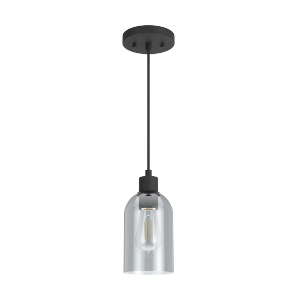 19201_8_lochemeade_smoked_glass_1_light_mini_pendant-natural_black_iron-main