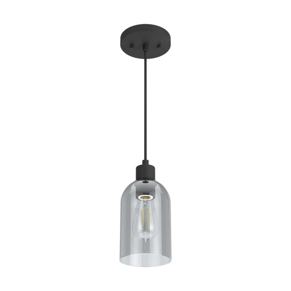 19201_9_lochemeade_smoked_glass_1_light_mini_pendant-natural_black_iron-alternateangle1