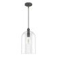 19205_8_lochemeade_clear_seeded_glass_1_light_large_pendant-noble_bronze-main