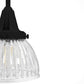 19229_12_cypress_grove_1_light_mini_pendant-natural_black_iron-productdetail1