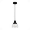 19229_8_cypress_grove_1_light_mini_pendant-natural_black_iron-main