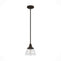 19230_8_cypress_grove_1_light_mini_pendant-onyx_bengal-main