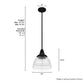 19247_4_cypress_grove_1_light_pendant_10_inch-natural_black_iron-dimensiongraphic