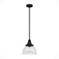 19247_8_cypress_grove_1_light_pendant_10_inch-natural_black_iron-main