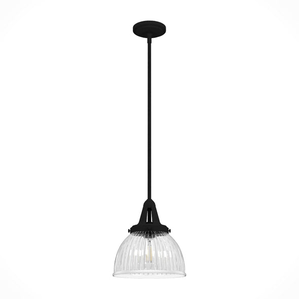19247_8_cypress_grove_1_light_pendant_10_inch-natural_black_iron-main