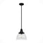 19247_8_cypress_grove_1_light_pendant_10_inch-natural_black_iron-main
