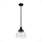 19247_9_cypress_grove_1_light_pendant_10_inch-natural_black_iron-alternateangle1