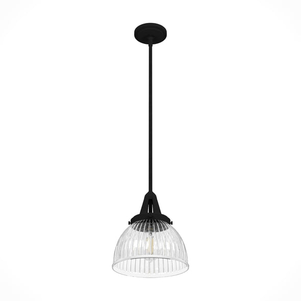 19247_9_cypress_grove_1_light_pendant_10_inch-natural_black_iron-alternateangle1