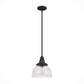 19248_8_cypress_grove_1_light_pendant_10_inch-onyx_bengal-main