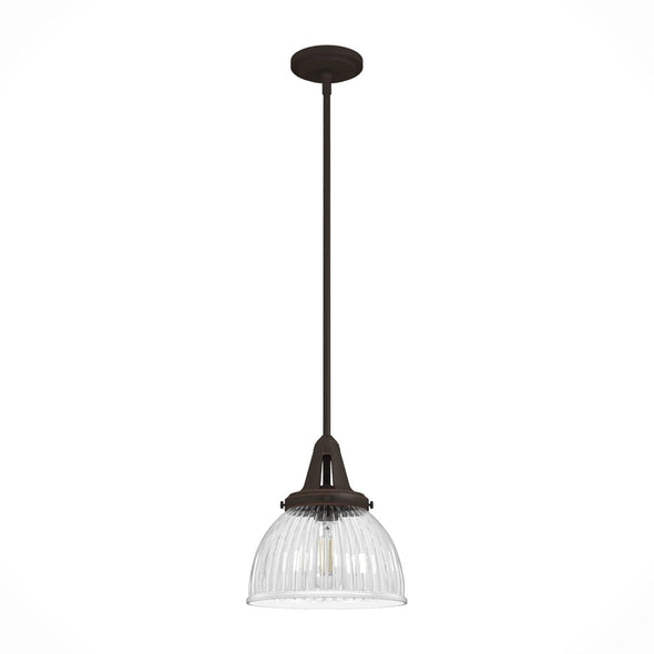 19248_8_cypress_grove_1_light_pendant_10_inch-onyx_bengal-main