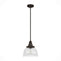 19248_8_cypress_grove_1_light_pendant_10_inch-onyx_bengal-main