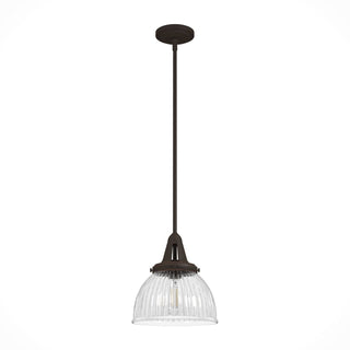 19248_8_cypress_grove_1_light_pendant_10_inch-onyx_bengal-main
