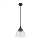 19248_9_cypress_grove_1_light_pendant_10_inch-onyx_bengal-alternateangle1