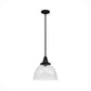19249_8_cypress_grove_1_light_pendant_13_inch-natural_black_iron-main