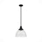 19249_8_cypress_grove_1_light_pendant_13_inch-natural_black_iron-main