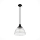 19249_9_cypress_grove_1_light_pendant_13_inch-natural_black_iron-alternateangle1