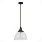 19250_8_cypress_grove_1_light_pendant_13_inch-onyx_bengal-main