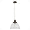 19250_8_cypress_grove_1_light_pendant_13_inch-onyx_bengal-main