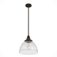 19250_9_cypress_grove_1_light_pendant_13_inch-onyx_bengal-alternateangle1