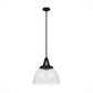 19251_8_cypress_grove_1_light_pendant_16_inch-natural_black_iron-main