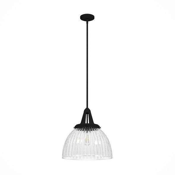 19251_8_cypress_grove_1_light_pendant_16_inch-natural_black_iron-main