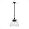 19251_8_cypress_grove_1_light_pendant_16_inch-natural_black_iron-main