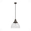 19252_8_cypress_grove_1_light_pendant_16_inch-onyx_bengal-main